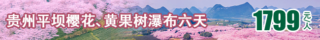 èŠ±é–‹(kÄi)é»”æ±å—