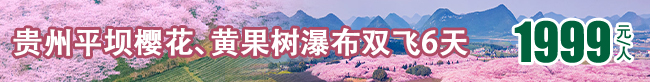 多彩黔行·賞花季