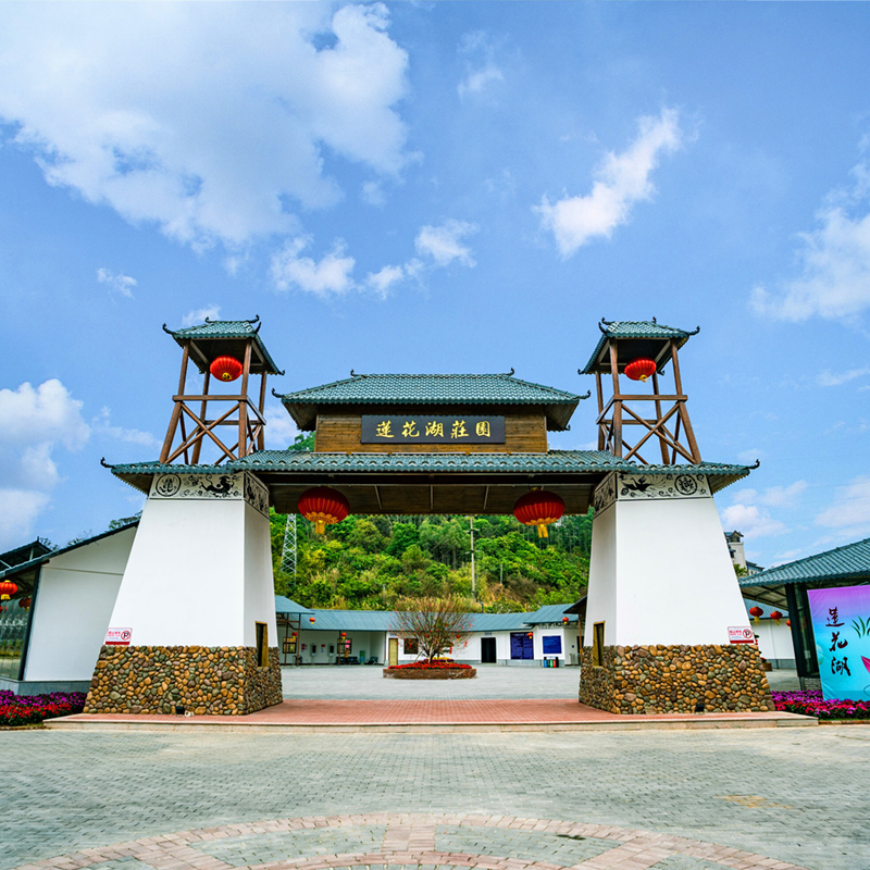 【夢回南越】信宜蓮花湖、玻璃橋或電動(dòng)船二選一、夢回南越實(shí)景劇演繹、山水公園、竇州墟純玩1天